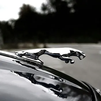 Jaguar Repair and Service in Mishawaka, IN