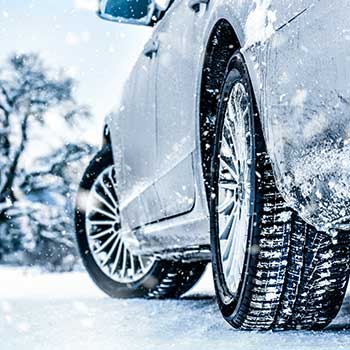 winterization 01