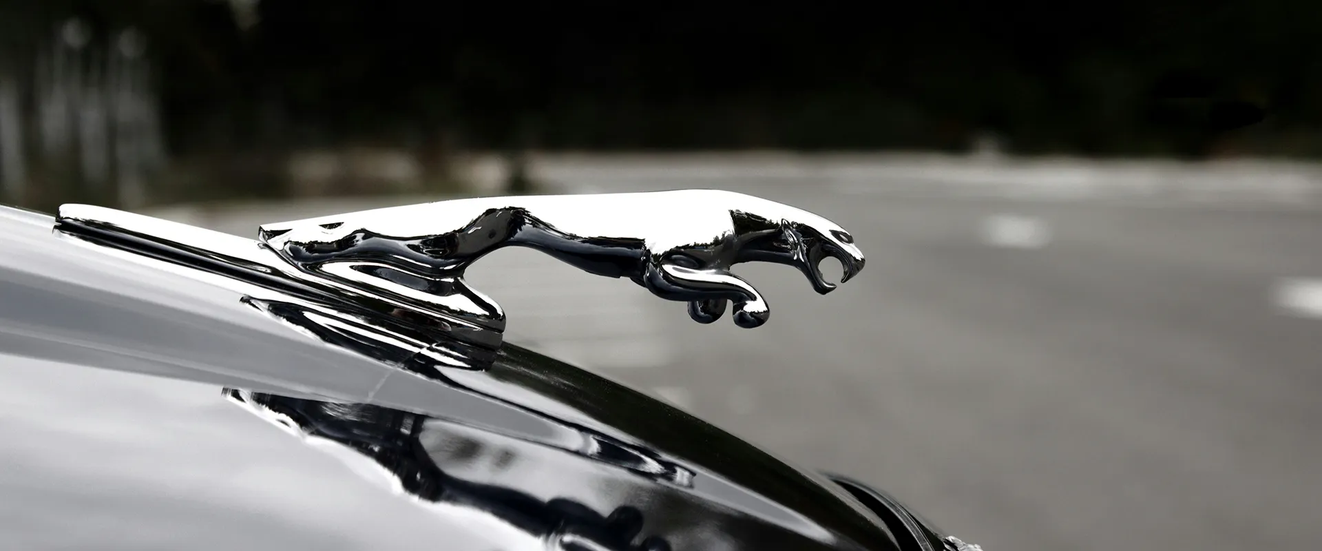 Jaguar Repair and Service near Mishawaka, IN