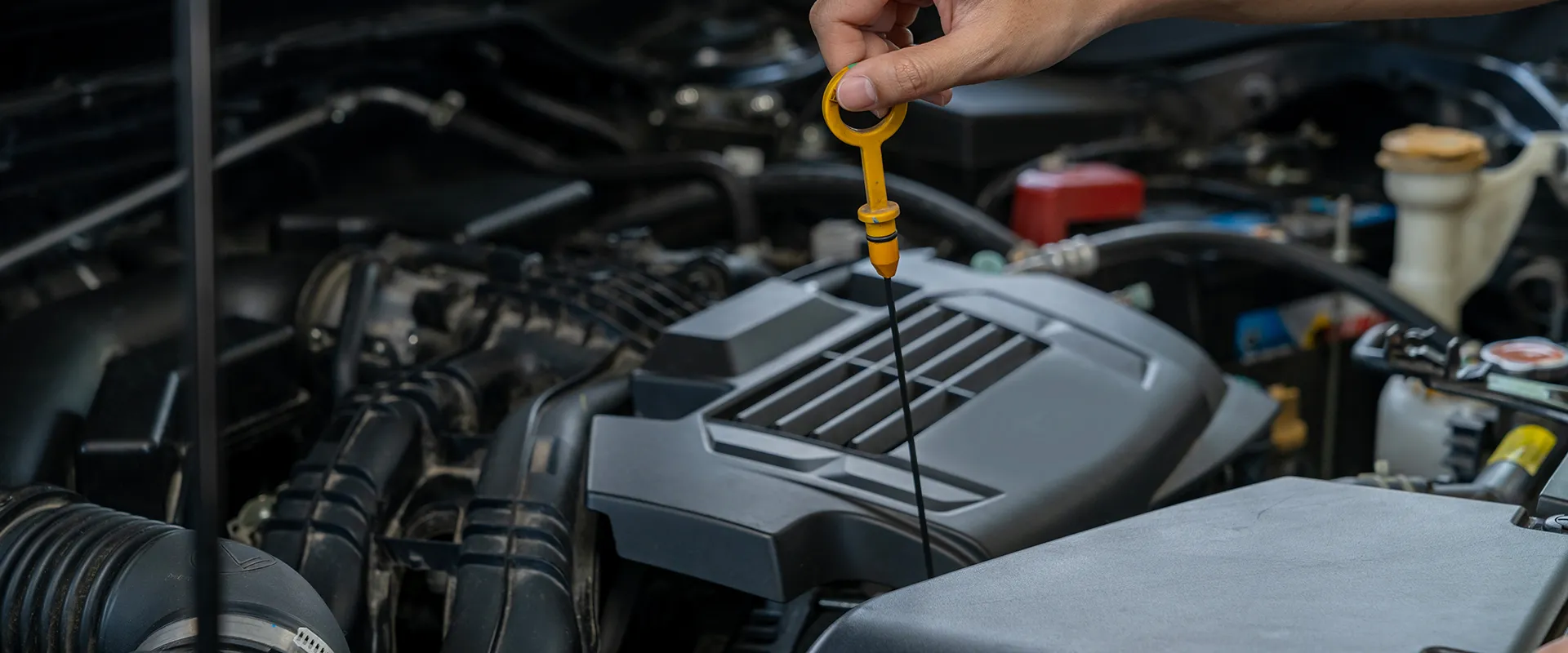 Oil Change near White House, TN
